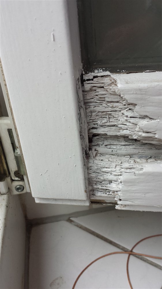 Reparaturbed&uuml;rftiges Holzfenster